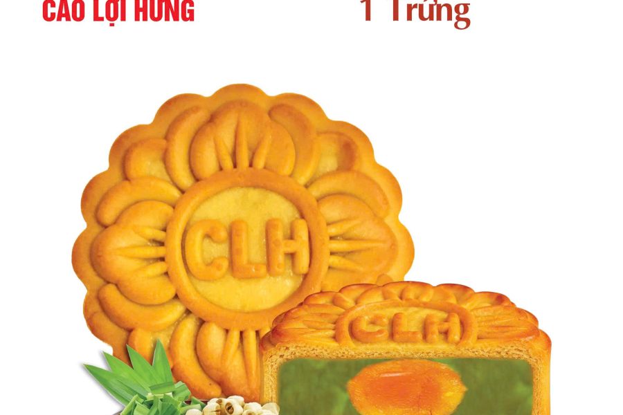 THU ĐOÀN VIÊN - XANH NGỌC - Ảnh 4