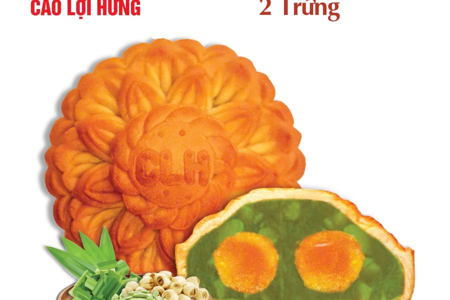 THU ĐOÀN VIÊN - XANH NGỌC - Ảnh 16