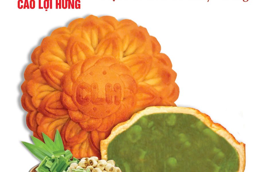THU ĐOÀN VIÊN - XANH NGỌC - Ảnh 15